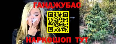 шишки Бузулук