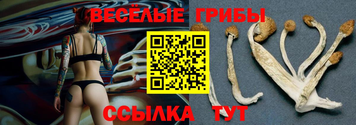 Псилоцибиновые грибы прущие грибы  Вход с VPN  купить закладку  Уварово 